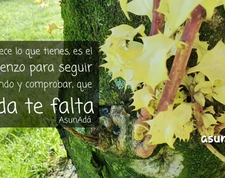 A la derecha Unas hojas verde clarito salen del tronco un tronco de árbol marrón, a la izquierda algo de césped verde, sobre el una caja de texto dice "Agradece lo que tienes, es el comienzo para seguir creciendo y comprobar, que nada te falta" por AsunAdá