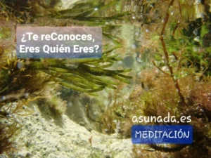 Meditación guiada: ¿Te reConoces?