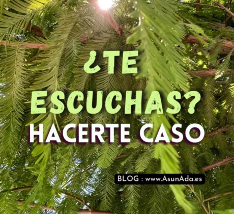 ¿Te escuchas? Hacerte caso. Mensaje de los Ángeles canalizado por Asun Adá