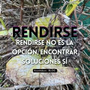 Texto sobre foto: Rendirse no es la opción, encontrar soluciones Sí. Canalización por Asun Adá