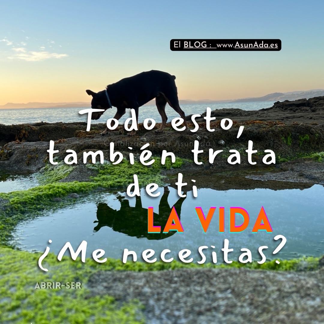 Abrir-Ser Chispa entre rocas por el mar: la vida trata de ti, ¿me necesitas? Por Asun Adá