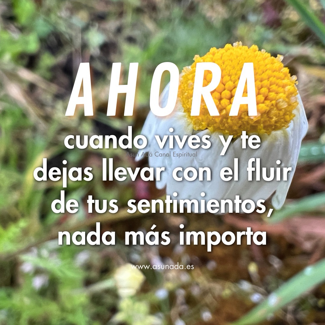 Ahora, cuando vives y te dejas llevar con el fluir de tus sentimientos, nada más importa, canalización por Asun Adá