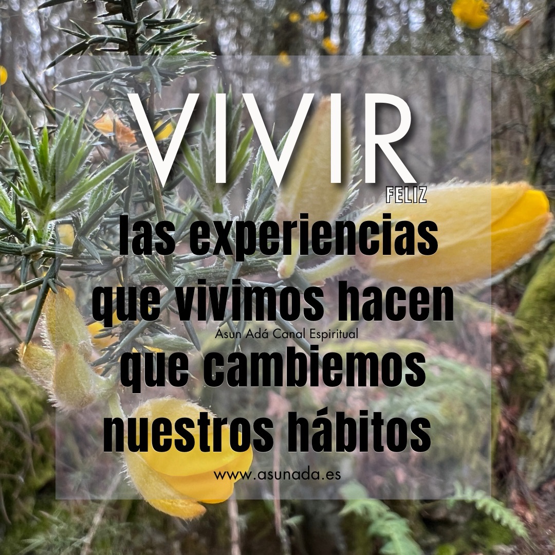 Vivir feliz,  las experiencias que vivimos hacen que cambiemos nuestros hábitos Canalización por Asun Adá