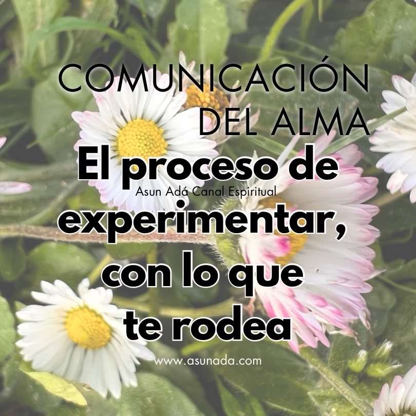 Comunicación del Alma El proceso de experimentar, con lo que te rodea canalizado por Asun Adá 