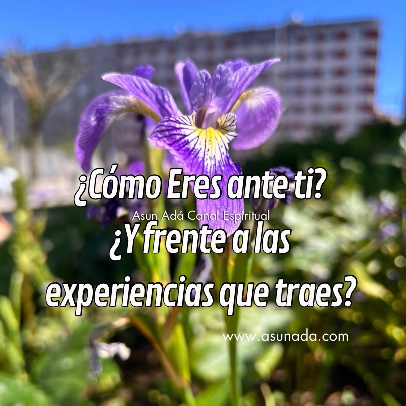 ¿Cómo Eres ante ti?
¿Y frente a las experiencias que traes? Canalización por Asun Adá