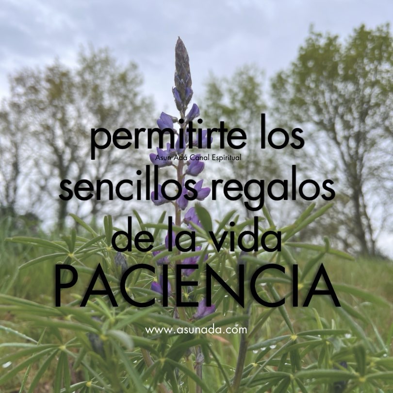 Paciencia, permitirte los sencillos regalos de la vida canalización espiritual por Asun Adá