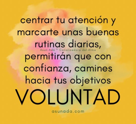 Voluntad: centrar tu atención y marcarte unas buenas rutinas diarias, permitirán que con confianza, camines hacia tus objetivos