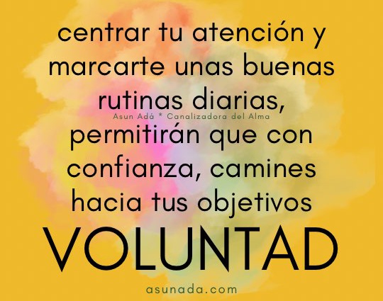 Voluntad: centrar tu atención y marcarte unas buenas rutinas diarias, permitirán que con confianza, camines hacia tus objetivos