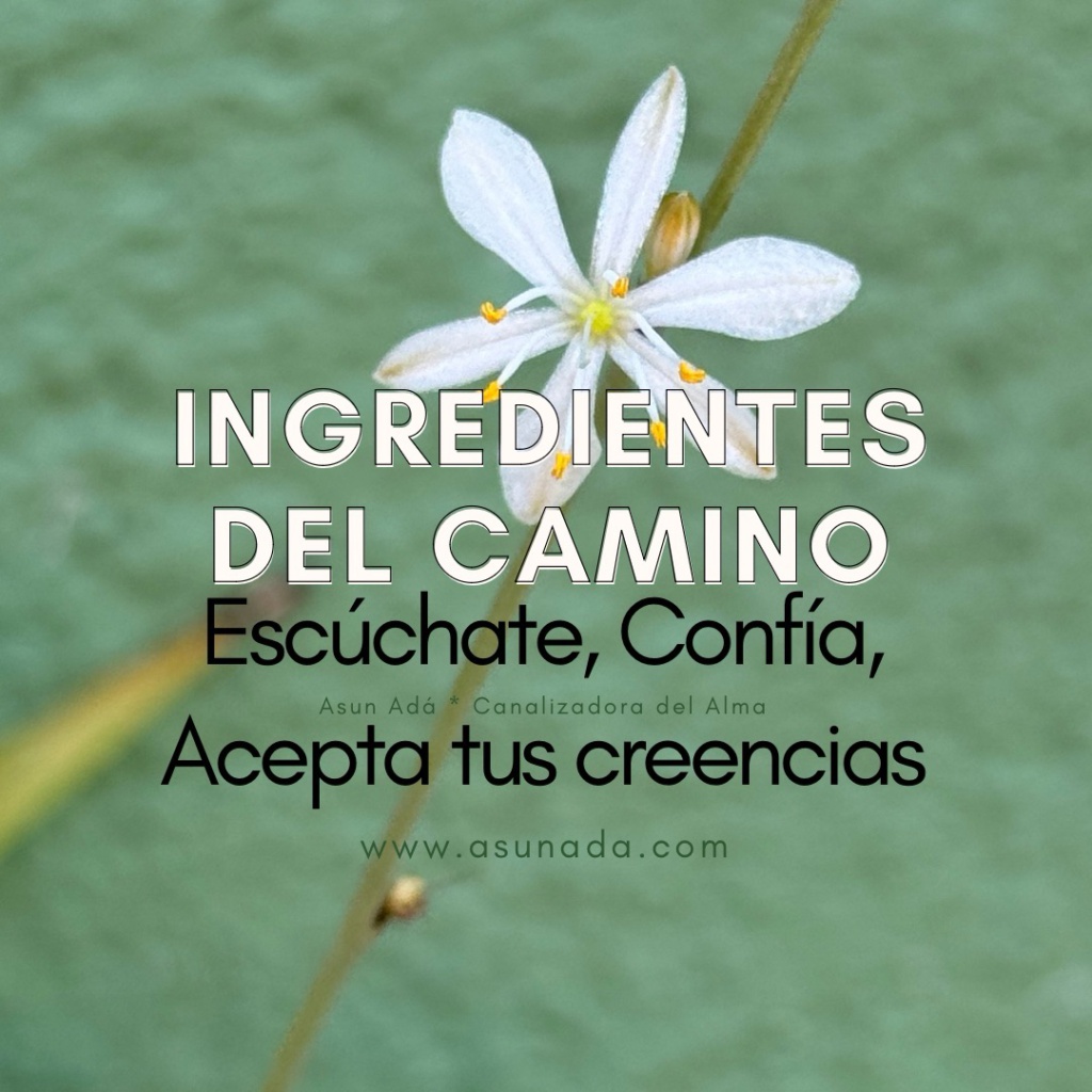 Ingredientes del camino: escúchate, confía, acepta tus creencias, canalización del alma por Asun Adá