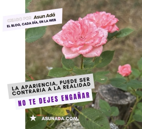 No te dejes engañar, la apariencia puede ser contraria a la realidad. Canalización por Asun Adá