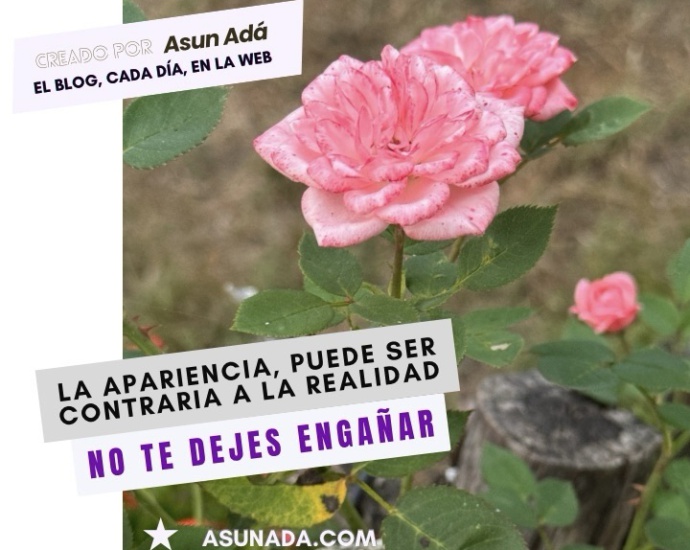 No te dejes engañar, la apariencia puede ser contraria a la realidad. Canalización por Asun Adá