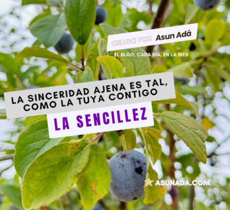 La sinceridad ajena es tal como la tuya contigo , canalización por Asun Adá