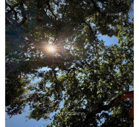 abrirte al mundo-fotoblog Asun Adá