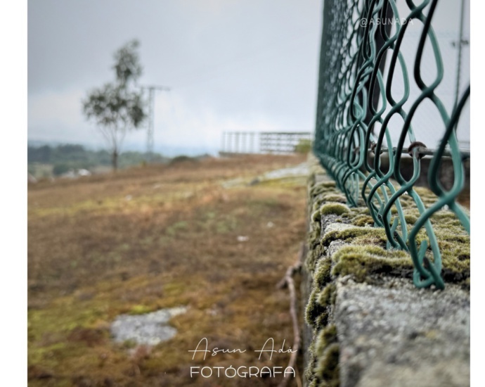 respetar palabras-fotoblog Asun Adá