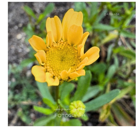 sentir consciencia-fotoblog Asun Adá