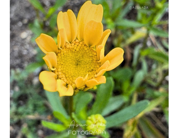 sentir consciencia-fotoblog Asun Adá