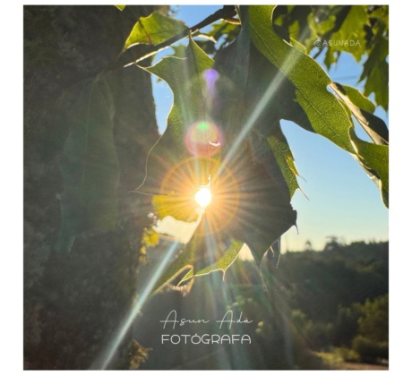 te he fallado-fotoblog Asun Adá