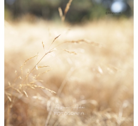 Las etapas de la vida - FotoBlog- Asun Adá