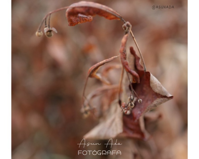 CómoEstás-FotoBlogAsunada