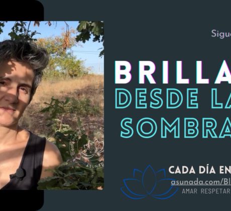 Brillar desde las sombras-vblogasunada