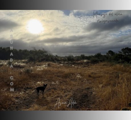 El cielo en la tierra-amanecer-blogasunada