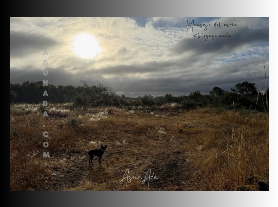El cielo en la tierra-amanecer-blogasunada