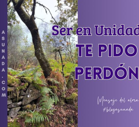 Te pido perdón-blogasunada