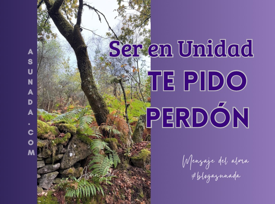 Te pido perdón-blogasunada