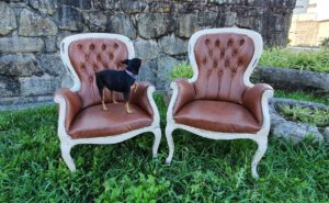 Chispa, subida en una silla elegante #AsunAdá