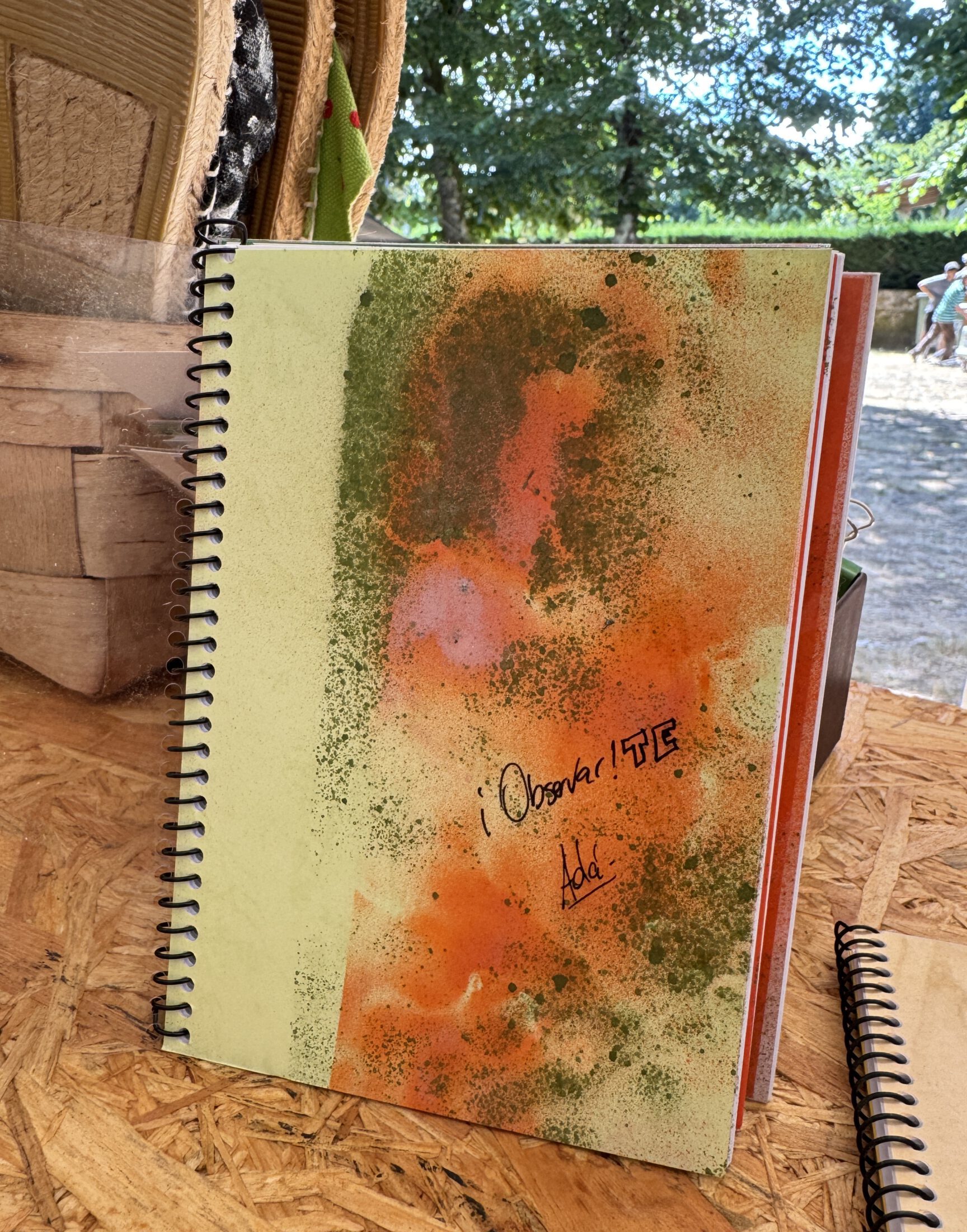 Libreta "ObservaTE" pintada por Asun Adá