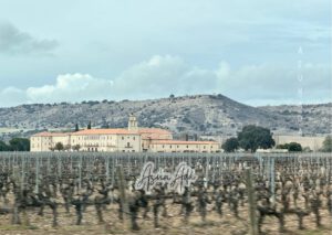 Decidir es compartir-viñedos peñafiel-blogasunada