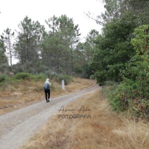 Dejarse aconsejar, es correcto-peregrina a Santiago por monte hacia Oseira- BlogAsunada