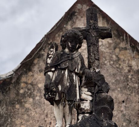 Días señalados​-Ángel en cementerio-blogasunada