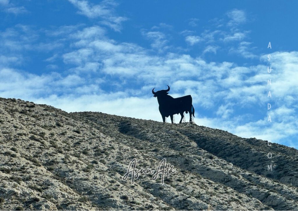 Encontrar tu mejor respuesta-toro de Osborne en montaña-blogasunada