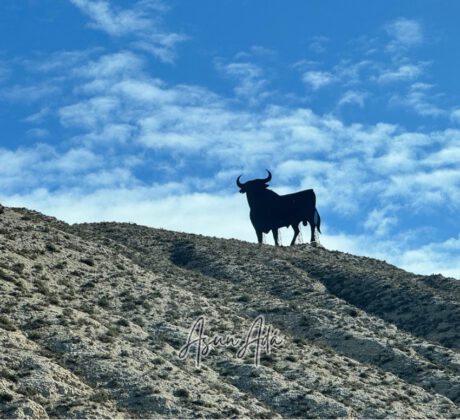 Encontrar tu mejor respuesta-toro de Osborne en montaña-blogasunada