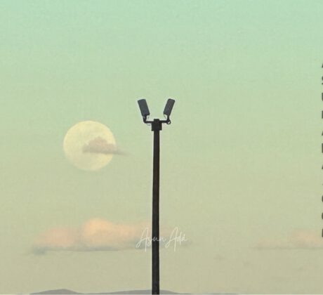 Estar al día-luna llena y farola-blogasunada