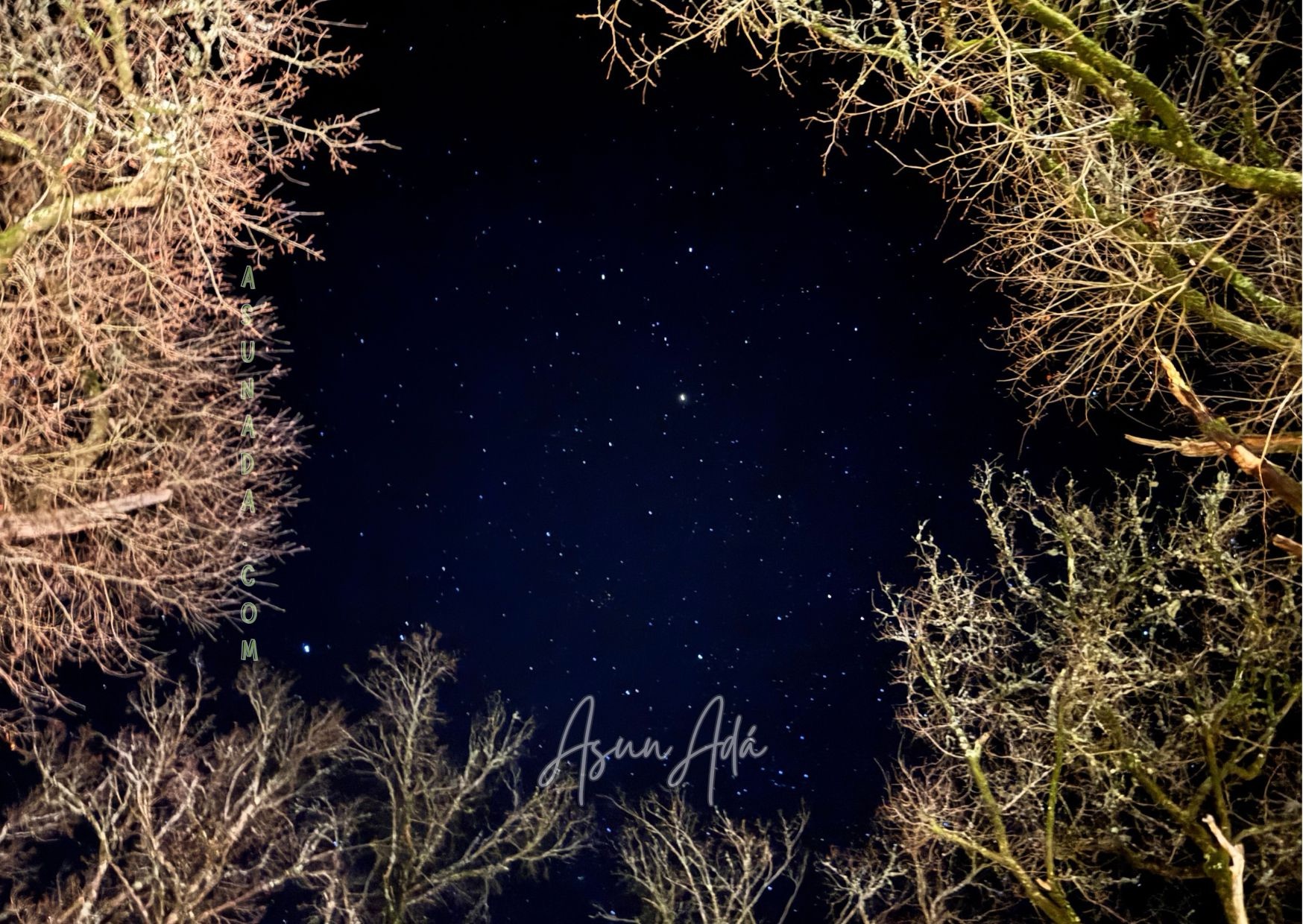 Firmamento, estrellas y mundos-noche estrellas árboles-blogasunada.jpg