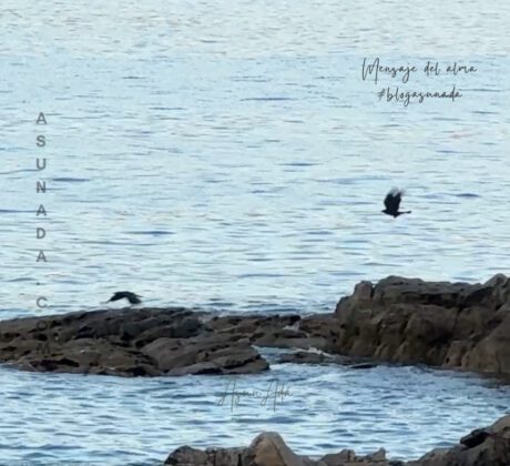 Gemelas las Almas y las Llamas-cuervos en el mar-blogasunada