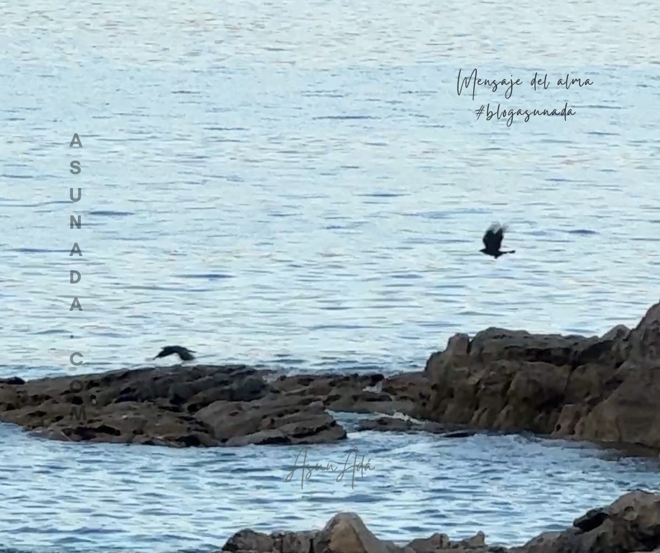 Gemelas las Almas y las Llamas-cuervos en el mar-blogasunada