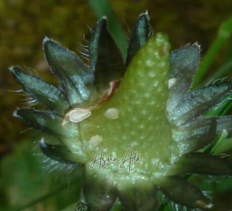 Encuentros del presente-interiorflorverde-blogasunada