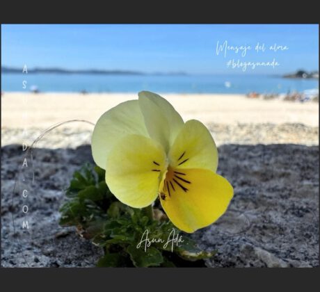 Jugadas de la mente-pensamiento amarillo-blogasunada