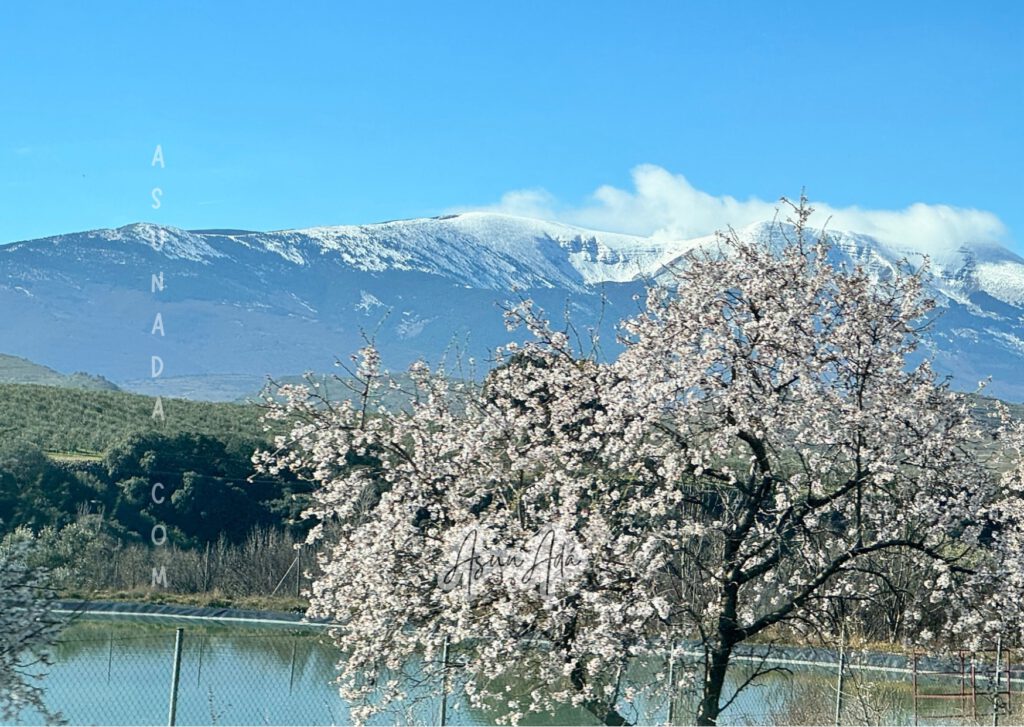 Los caminos se cruzan sin conocerse-Pico Moncayo nevado-blogasunada