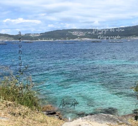 Medita frente al mar-blogasunada