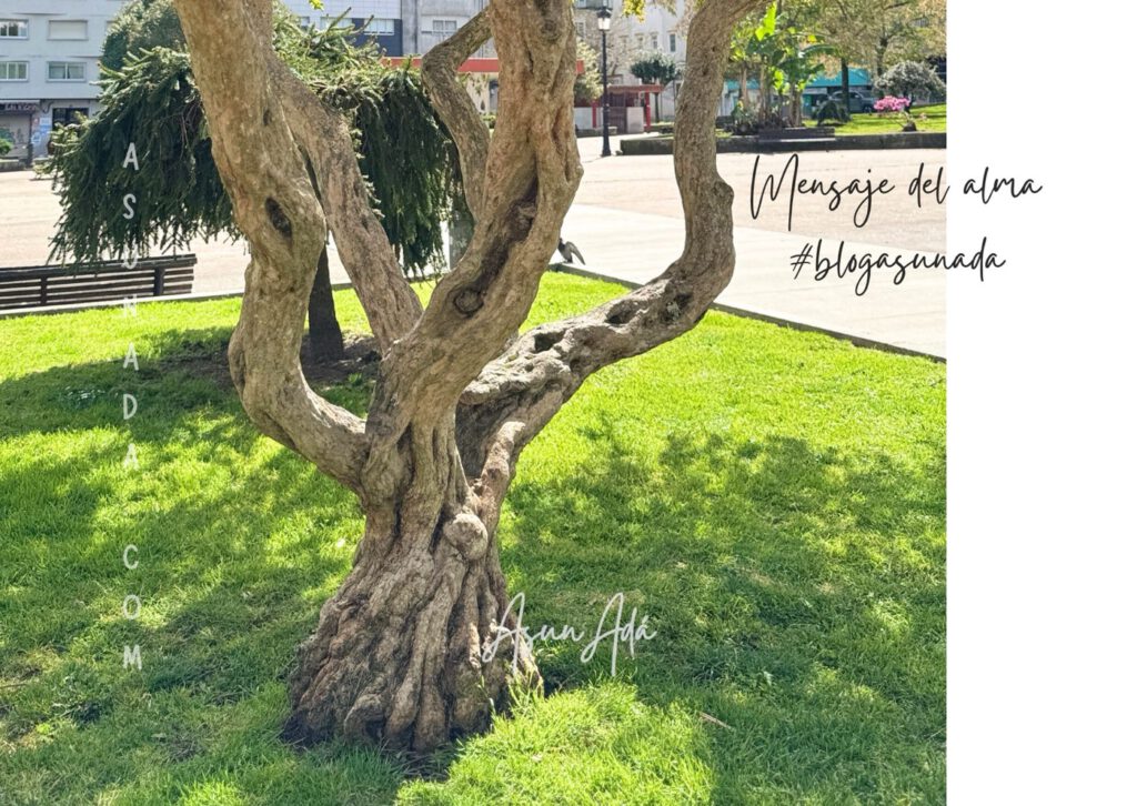 Mensajeros y mensajes-árbol hacía raíz-blogasunada