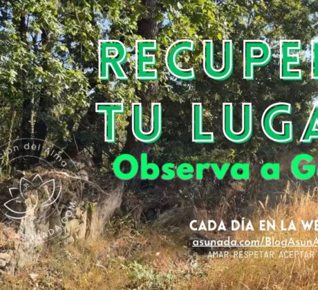 Recuperar tu lugar-vblogasunada
