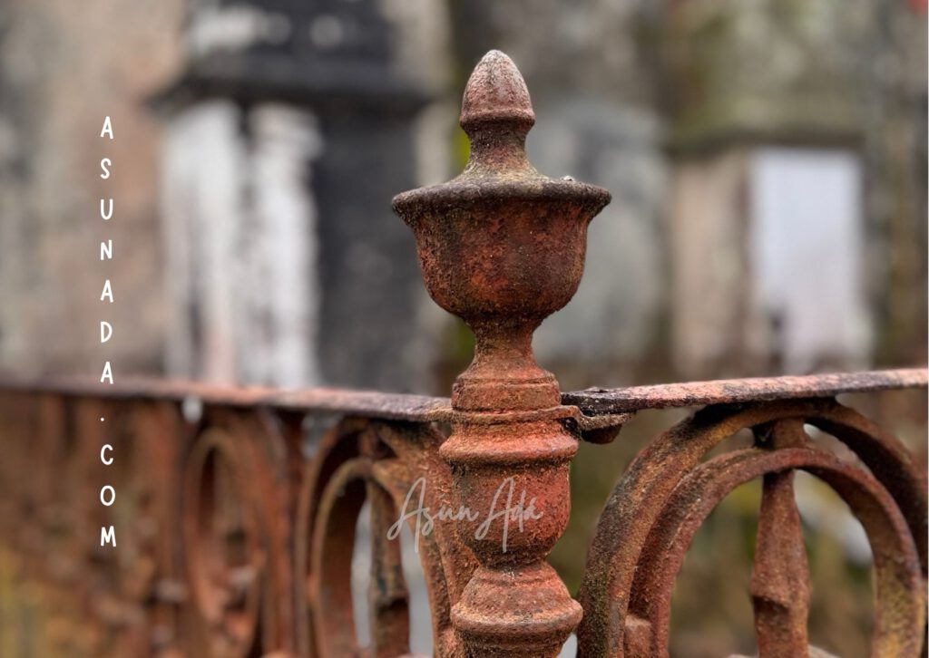 Relacionarte con la vida​-Cementerio-blogasunada