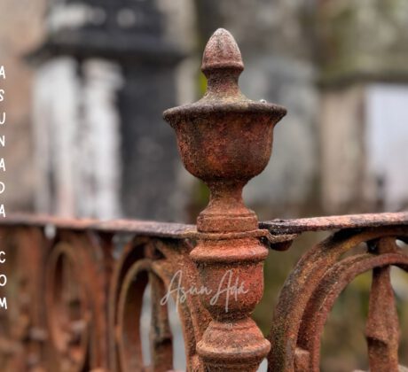 Relacionarte con la vida​-Cementerio-blogasunada