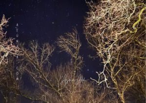 Reorganizar tus momentos​-noche estrellada-blogasunada