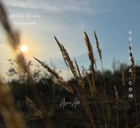 Respiración consciente-atardecer-blogasunada