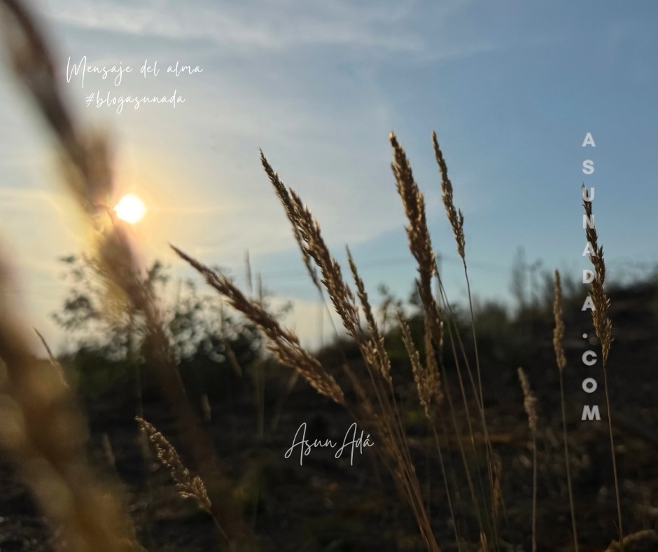 Respiración consciente-atardecer-blogasunada